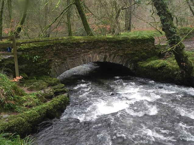 Castle Bridge, on Exmoor, before Dane's Brook flooded and swept it away at the weekend. PHOTO: ENPA.