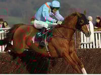 Hammer Dan close to winning on comeback at Newton Abbot