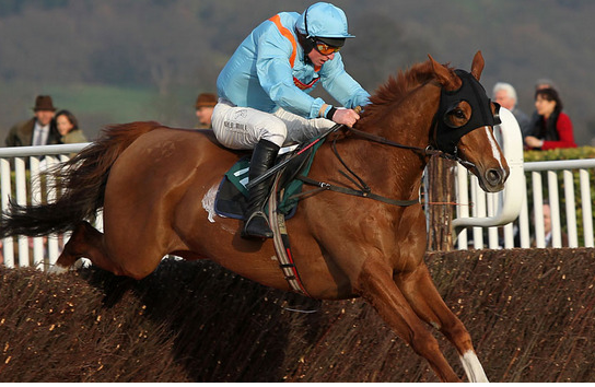 Junior who won the Ascot Stakes for Pipe in 2010