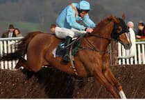 Hammer Dan close to winning on comeback at Newton Abbot