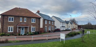 Developer says 'no plans to build more homes'