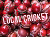 Carhampton go down by eight wickets at Stoodleigh 