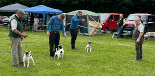 Community news from West Somerset