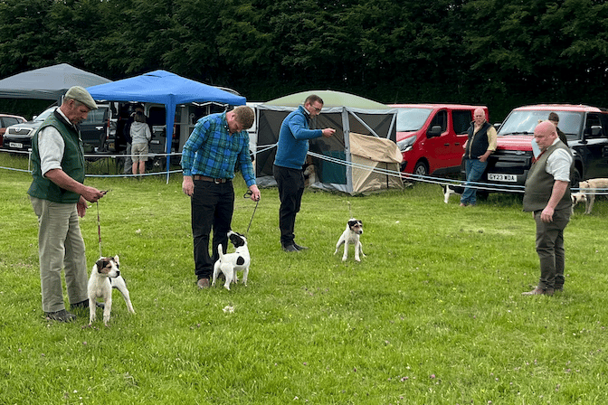 Judging some of the entries in this year's family dog show organised by the West Somerset Hunt.
