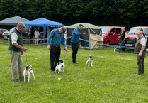 Community news from West Somerset