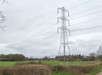 Rural homes and businesses hit by power outage