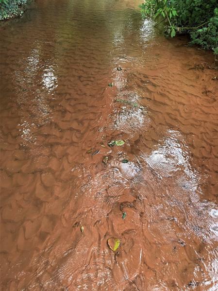 Silt pollution in a river at Combe Florey caused by Hillcommon farmer David Mitchell. PHOTO: Environment Agency.