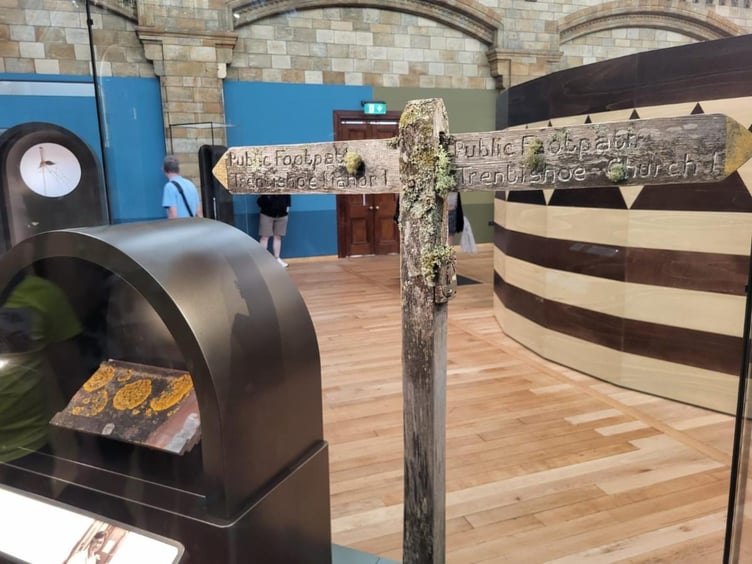 The Exmoor signpost with its lichen on display in the Natural History Museum. PHOTO: ENPA.
