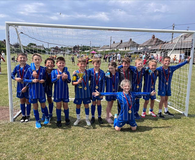 Minehead win penalty shootout after draw in cup final 