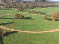 Day to forget as Pipe's Yard lose Seymourjohn 