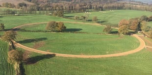 Day to forget as Pipe's Yard lose Seymourjohn 