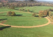 Day to forget as Pipe's Yard lose Seymourjohn