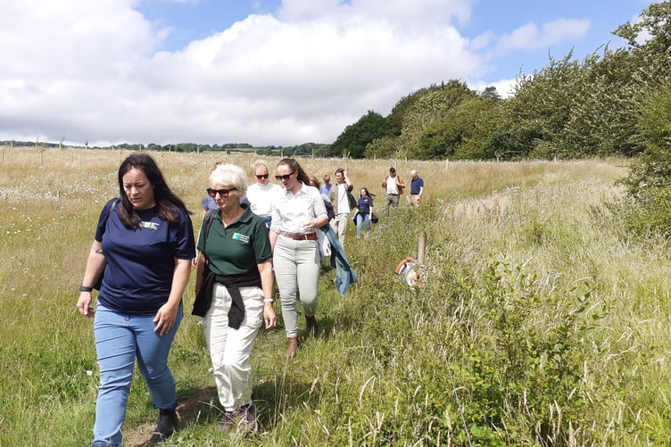 The workshop and farm visit, which took place at the Quantock Hills National Landscape Offices, was well received by participants