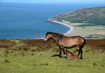 Exmoor National Park launches ambitious new management plan