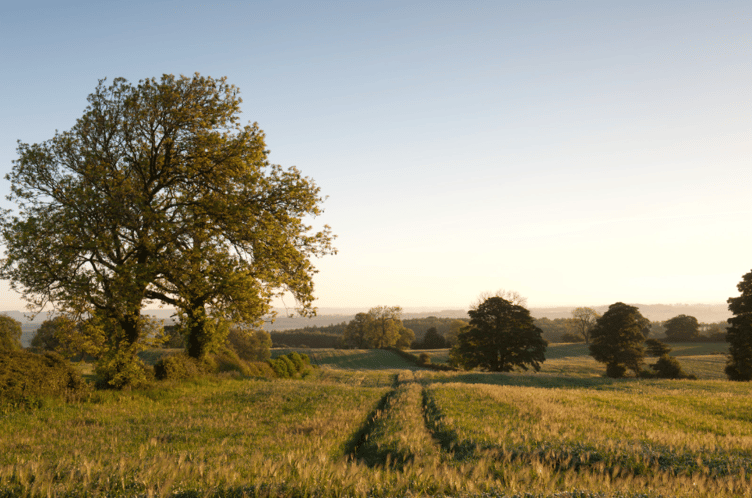 The Wildlife Trusts has launched a vision for the future of food and farming