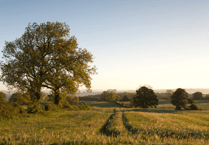 New vision to get farming transition "back on track" in Somerset