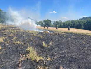 Emergency services tackle two fires next to railway