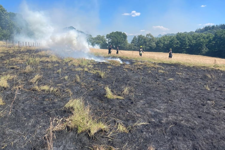 Firefighters tackle two fires near a railway line in Crowcombe