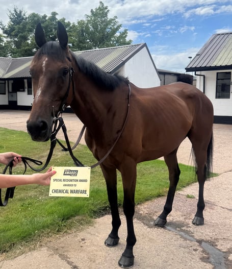 Chemical Warfare - won eight times last season