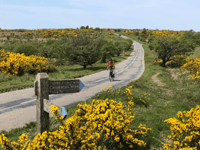 Active travel plan could boost health and economy