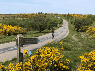 Active travel plan could boost health and economy