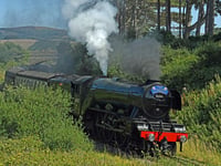 Railway cuts losses to £560 a week