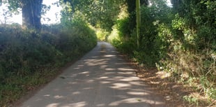 Rural roads speed limit reductions rejected