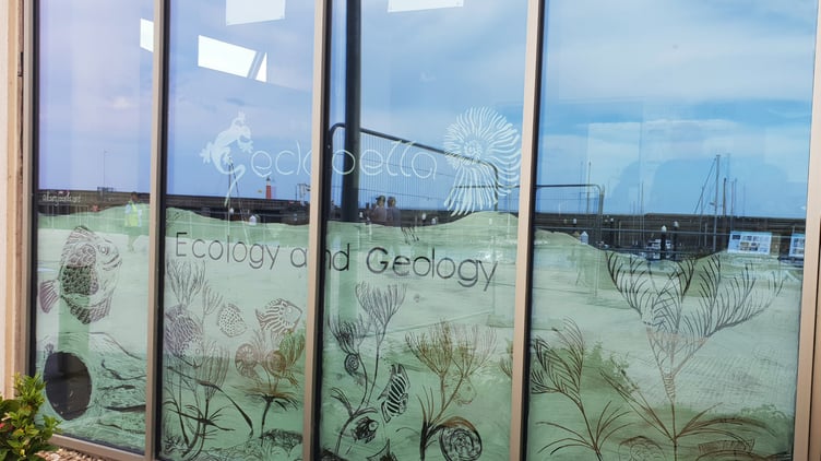 Geological consultancy Geckoella is holding a fossil roadshow on Watchet's East Quay, where it is based.