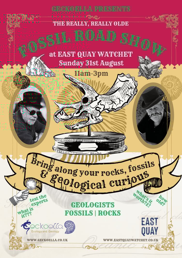A fossil roadshow is returning to Watchet in August.Geckoella.