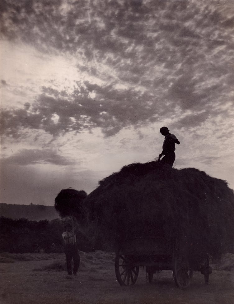 Haymaking from a bygone era captured by photographer Ernest Kille, whose work is going on show in Minehead.