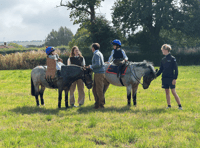 Just the two runners racing as Instagram famous pony visits Pond House