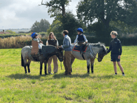 Just the two runners racing as Instagram famous pony visits Pond House