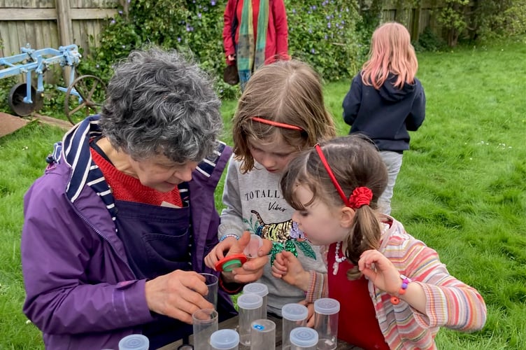 Children examine bugs during a previous wildlife event organised by Elizabeth Atkinson.