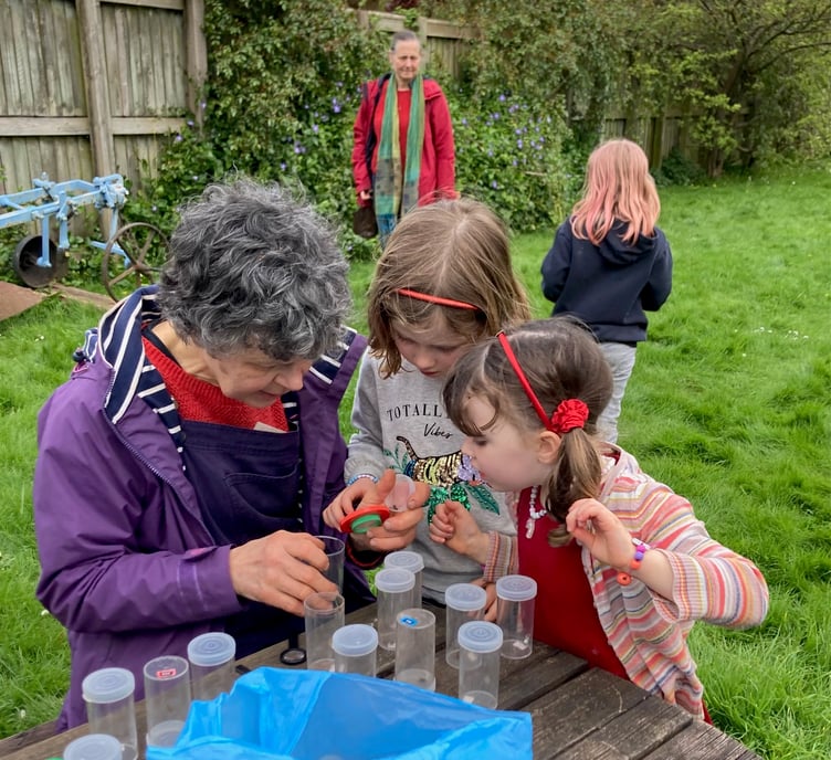 Children examine bugs during a previous wildlife event organised by Elizabeth Atkinson.