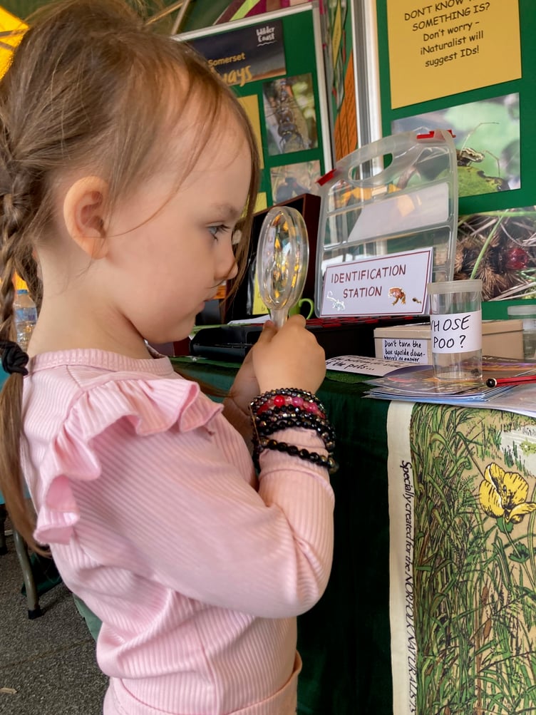 A youngster tries her hand at identifying bugs in a wildlife event organised by Carhampton's Elizabeth Atkinson.