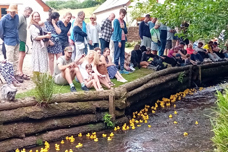 The Fitzhead Fete duck race at Holcombe Farm.