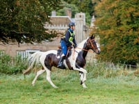 Horse rider from Wheddon Cross to compete at endurance championship