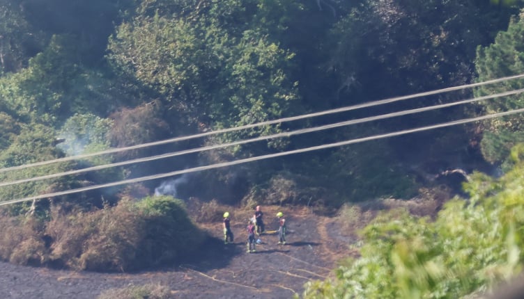 Firefighters can be seen at the scene of a large grass fire near Wootton Courtenay. PHOTO: Phil Witt.