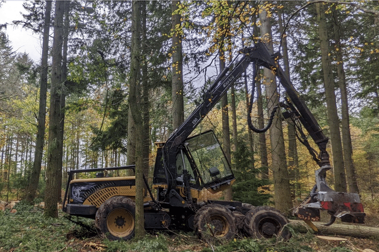 A harvester at work in a Forestry England-managed woodland. PHOTO: Forestry England.
