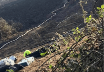 July heatwave sparks more than one call a day for Minehead fire crews