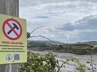 Fossil hunters told not to hammer rocks and cliffs