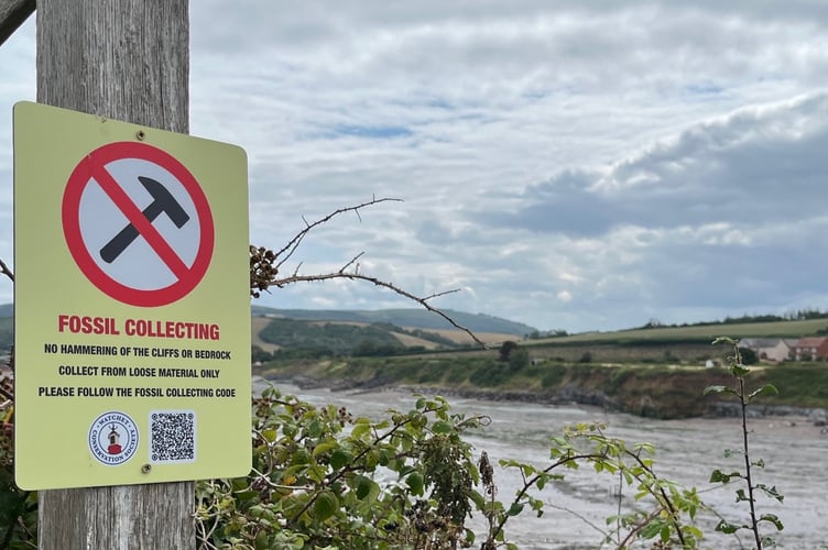 Signage has been put up to advise fossil hunters near Watchet to only take from loose material on the beaches.