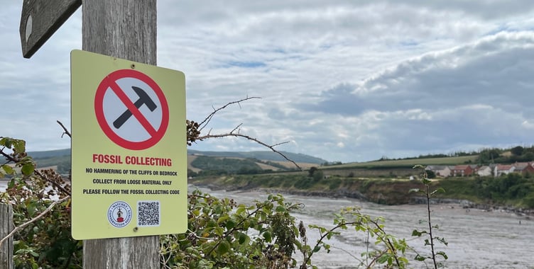 Signage has been put up to advise fossil hunters near Watchet to only take from loose material on the beaches.