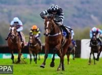 Local trainers take part in National Racehorse Week