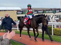 Bashful Boy finishes fourth at Goodwood 