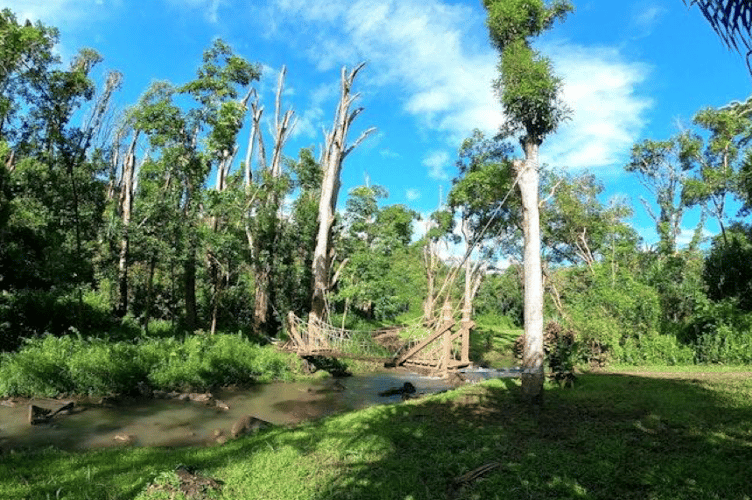 An example of a rope bridge built by Treehouse Life over a river. PHOTO: Treehouse Life. 