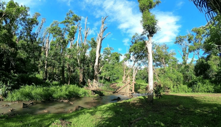An example of a rope bridge built by Treehouse Life over a river. PHOTO: Treehouse Life.