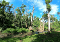 Holiday park wants rope bridge over ravine to help visitors reach St Audries beach