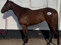 Amateur jockey Martin McIntyre back at work