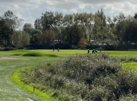 Ladies Captain's Day proves a big hit 